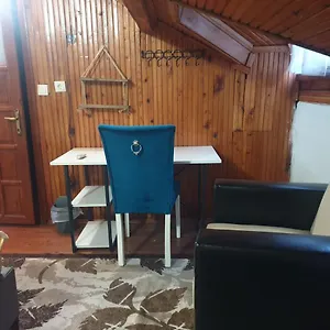 Stone Проживание в семье